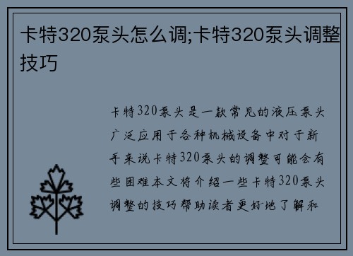 卡特320泵头怎么调;卡特320泵头调整技巧